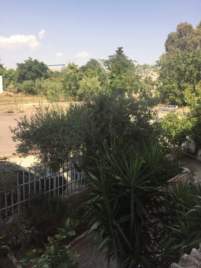 Cozy Apartment Near Metro Station Agia Marina Athen Eksteriør bilde